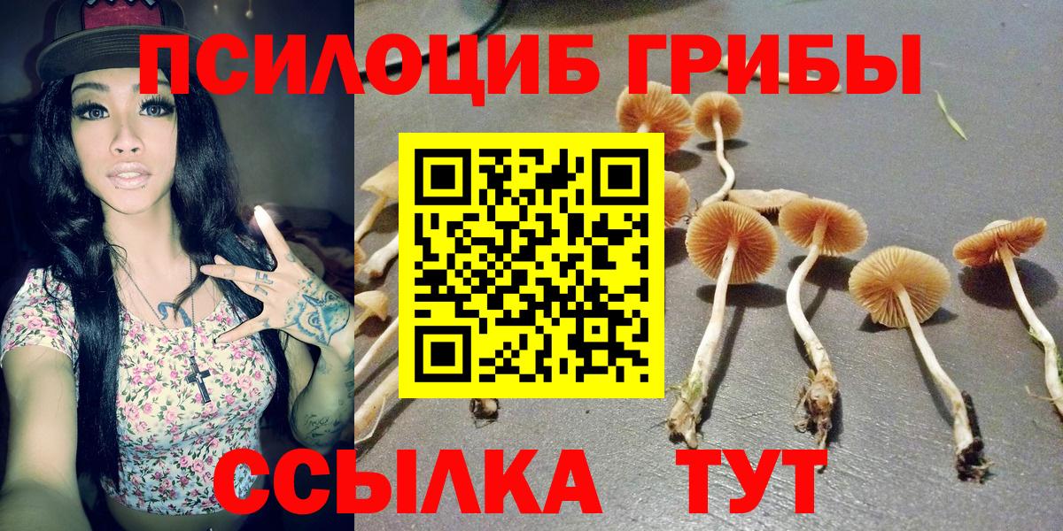 Псилоцибиновые грибы MAGIC MUSHROOMS Комсомольск-на-Амуре