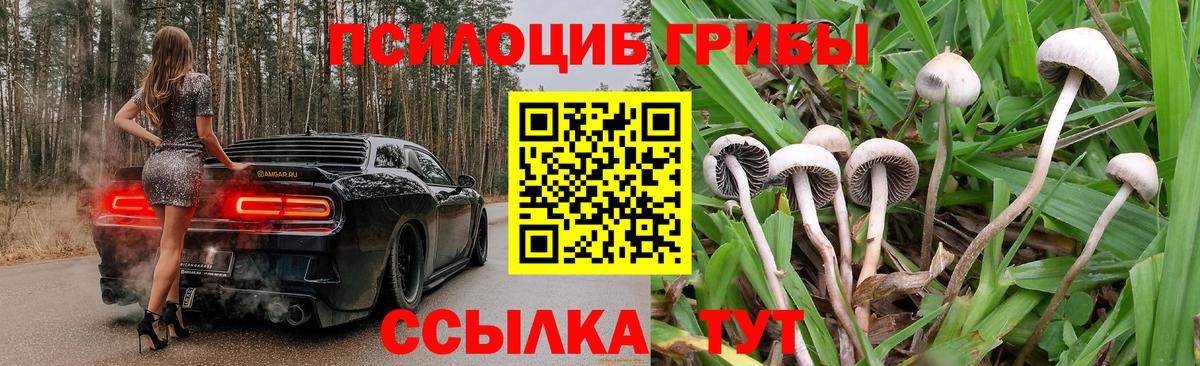 Комсомольск-на-Амуре  Галлюциногенные грибы MAGIC MUSHROOMS  Вход с VPN  купить   Галлюциногенные грибы Psilocybe 